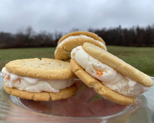 Three ice cream sandwiches with cookie layers, set against a cloudy outdoor background.