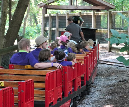 A group of children in colorful shirts sitting on a small train, ready for a ride through a wooded area.