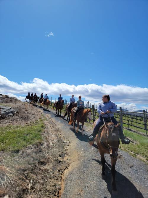 A group of people riding horses along a dirt path under a clear blue sky with green fields and fences in the background.