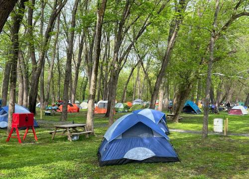 A campsite with multiple colorful tents set among green trees and grass, creating a vibrant outdoor scene.