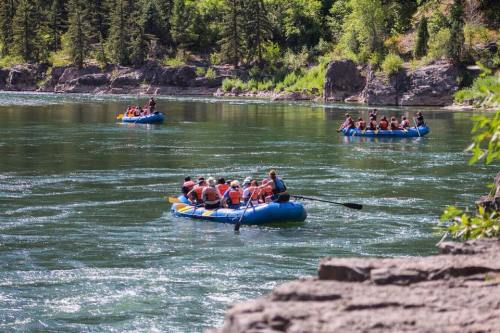 Two groups of people in rafts navigate a river surrounded by lush greenery and rocky banks on a sunny day.