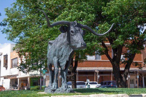 A bronze statue of a longhorn steer stands in a park, surrounded by trees and buildings in the background.