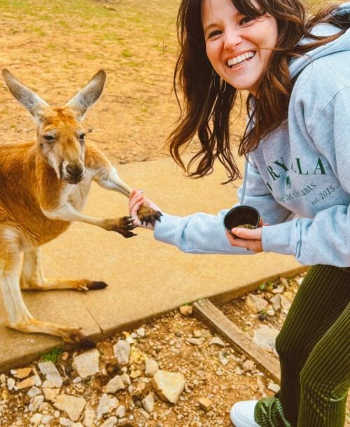A smiling woman in a gray hoodie interacts with a kangaroo, holding hands in a natural setting.