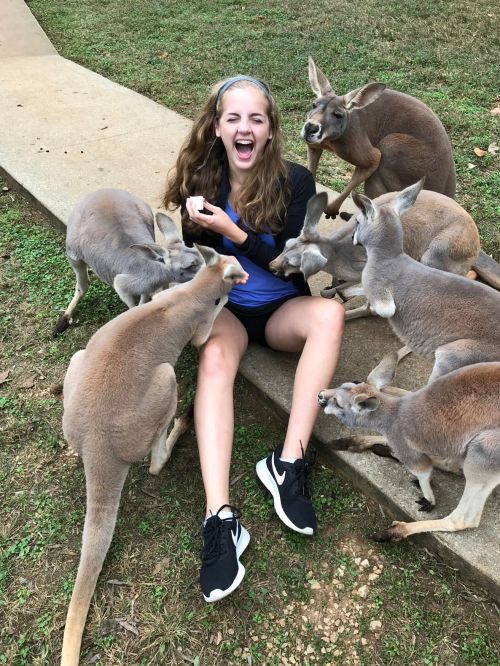A girl sits on the ground surrounded by playful kangaroos, laughing as they approach her.