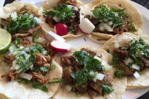 A plate of tacos filled with shredded meat, topped with cilantro, onions, and served with lime and radish slices.