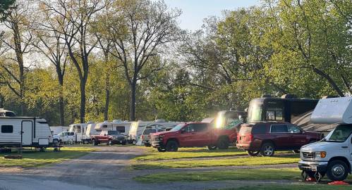 A campsite with various RVs and trucks parked among green trees and grass under a clear sky.