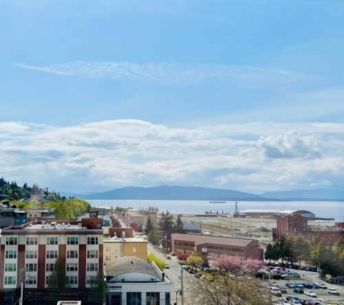 A scenic view of a waterfront with mountains in the background, featuring buildings and trees in the foreground.