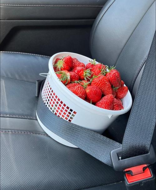 A white basket filled with fresh strawberries secured in a car seat with a seatbelt.