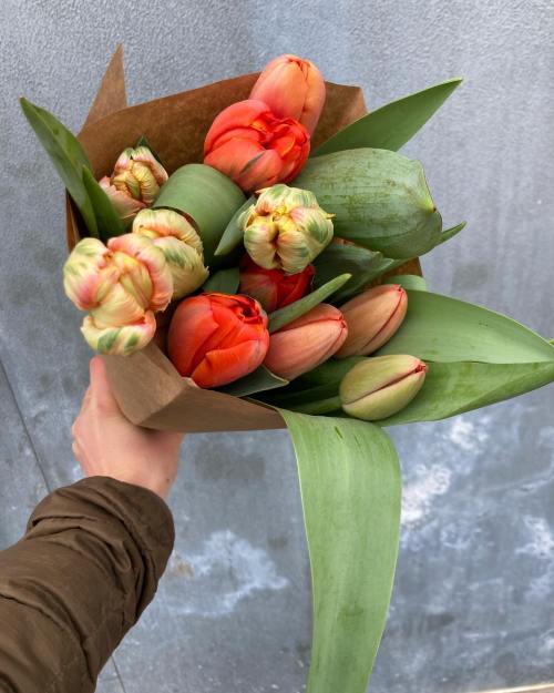 A hand holding a bouquet of colorful tulips wrapped in brown paper against a gray background.