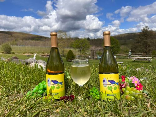 Two bottles of wine with a glass, surrounded by grapes and flowers, set against a scenic vineyard backdrop under a cloudy sky.