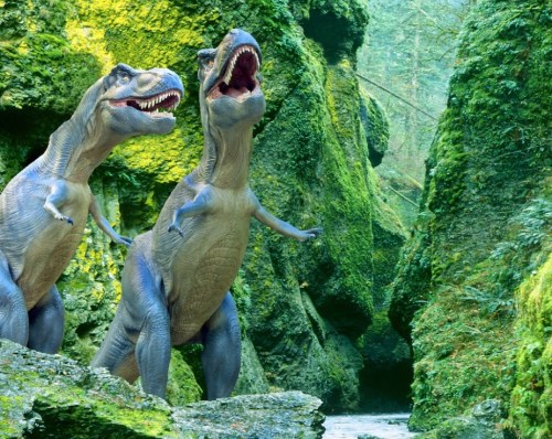 Two T. rex dinosaurs roar in a lush, green canyon surrounded by moss-covered rocks and trees.