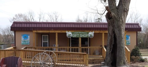 A gift shop with a wooden deck, featuring a green sign and surrounded by trees and outdoor seating.