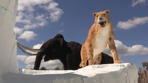 A lifelike model of a saber-toothed cat stands on ice, with a woolly mammoth in the background under a blue sky.