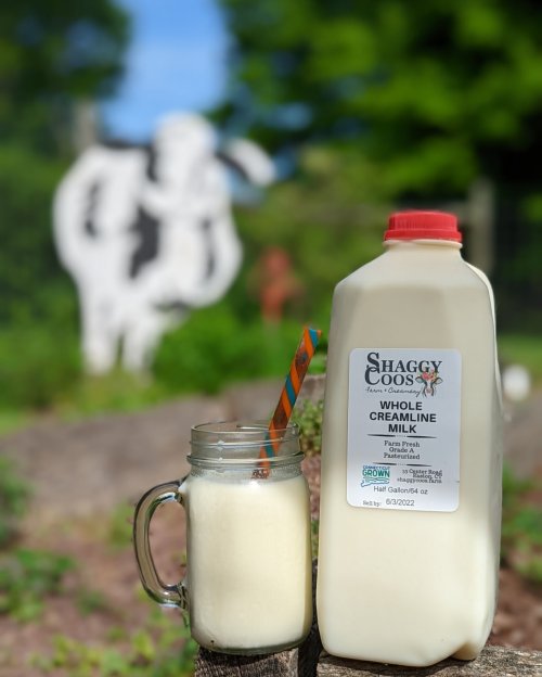 A jar of whole creamline milk with a straw next to a milk jug, with a cow statue in the background.