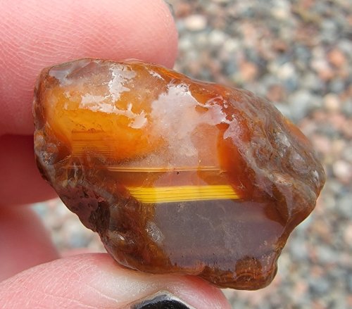 A hand holding a polished amber-colored stone with visible layers and a glossy surface.