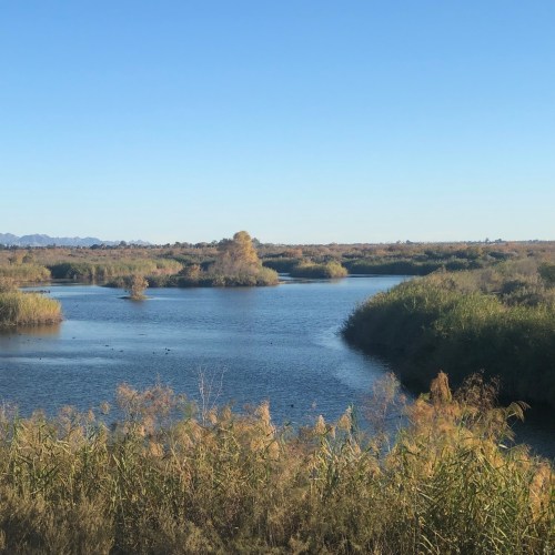 A serene landscape featuring a calm river surrounded by lush greenery and distant mountains under a clear blue sky.
