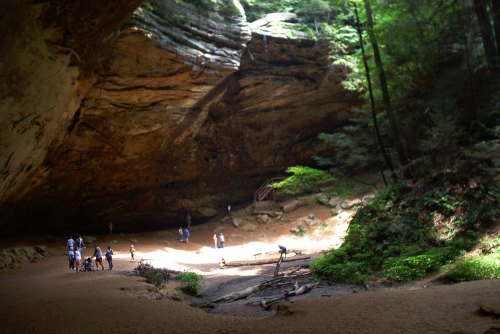 A large cave with a sandy floor, surrounded by trees, and people exploring the area. Sunlight filters in from above.