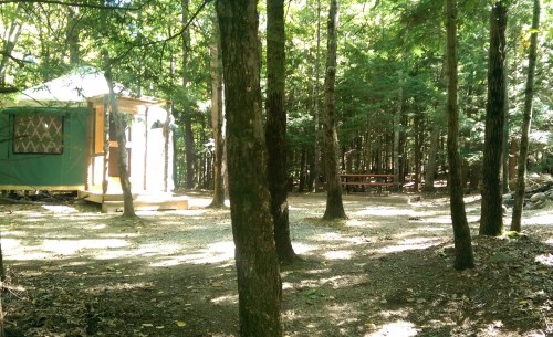A cozy yurt nestled in a forest clearing, surrounded by trees and a picnic area with a table.