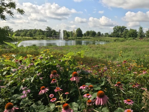 A serene pond surrounded by vibrant wildflowers and lush greenery under a partly cloudy sky.