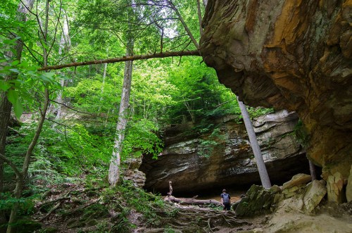 A lush green forest with a rocky cave entrance and a fallen tree, two people exploring the natural landscape.