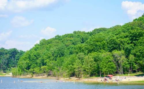 A serene lakeside scene with a sandy beach, green trees, and people enjoying the water on a sunny day.
