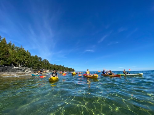A group of kayakers paddles in clear blue water near a rocky shore under a bright blue sky.