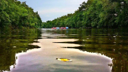 A serene river scene with calm water reflecting trees, and kayakers in the distance enjoying a peaceful outing.