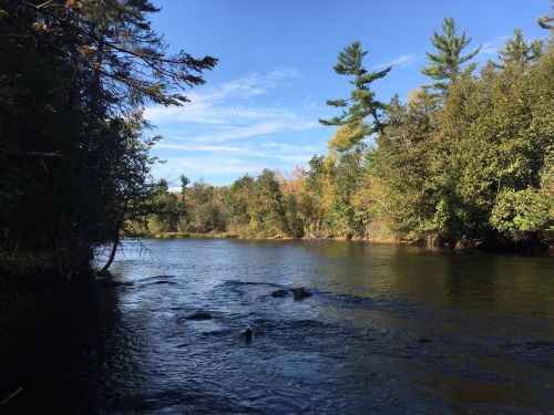 A serene river flows through a lush forest, with clear blue skies and colorful autumn foliage in the background.