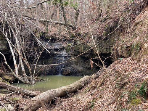 A serene forest scene featuring a small waterfall cascading into a green pool, surrounded by bare trees and fallen branches.