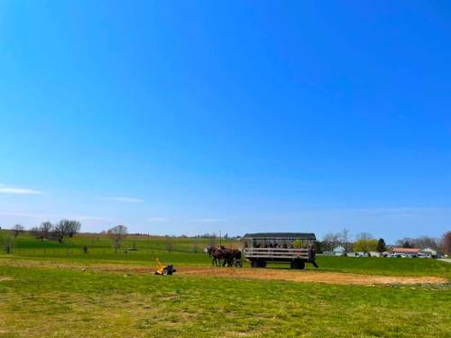 A sunny field with a blue sky, featuring a large vehicle and horses in the distance.