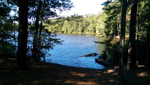 A serene lake surrounded by trees, with calm water reflecting the blue sky and sunlight.