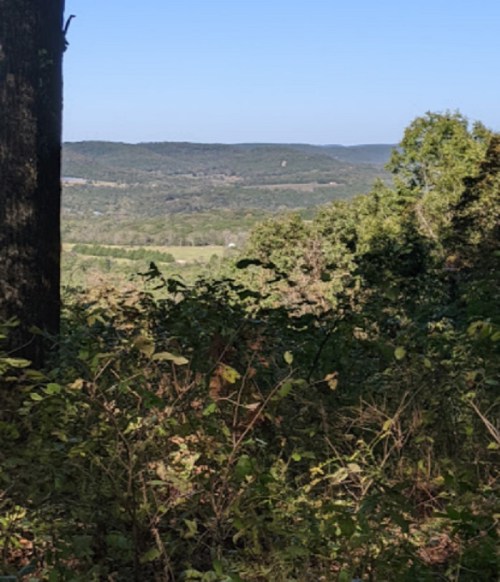 A scenic view of rolling hills and trees under a clear blue sky, with a foreground of lush greenery.
