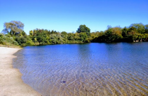 A serene lake surrounded by lush greenery under a clear blue sky. Gentle ripples reflect the sunlight on the water.