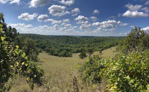 A panoramic view of a lush green valley under a bright blue sky with fluffy white clouds.