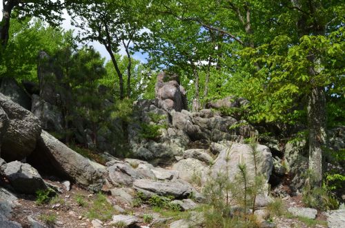 A rocky landscape surrounded by green trees and shrubs under a partly cloudy sky.