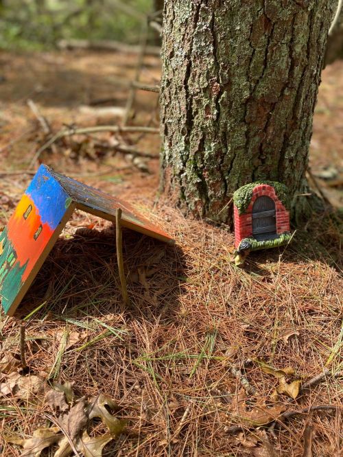 A small painted wooden structure and a miniature door are placed at the base of a tree, surrounded by pine needles.