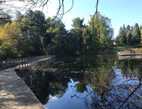 A serene lake surrounded by trees, with wooden walkways and reflections on the water under a clear blue sky.