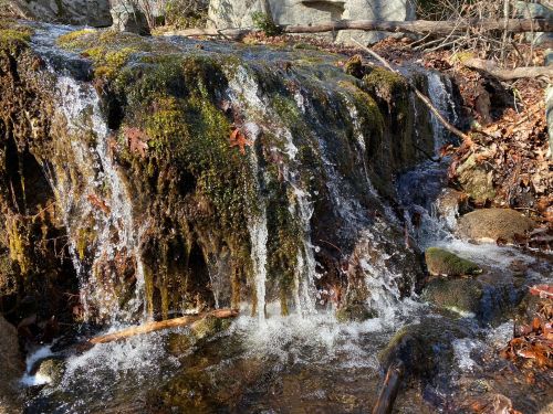 A small waterfall cascades over moss-covered rocks, surrounded by autumn leaves and natural scenery.