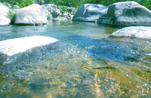 A serene river scene with clear water flowing over smooth rocks, surrounded by lush greenery.