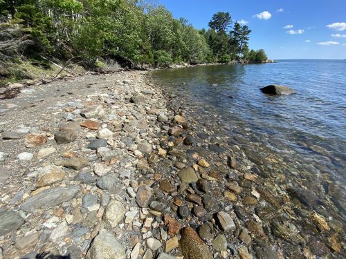 A rocky shoreline with clear water, trees in the background, and a blue sky with scattered clouds.