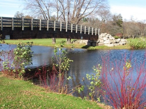 A wooden bridge spans a calm pond, surrounded by greenery and rocks under a clear blue sky.
