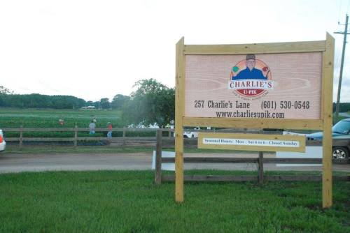 Sign for Charlie's U-Pik farm with fields in the background and people picking fruits. Contact info included.