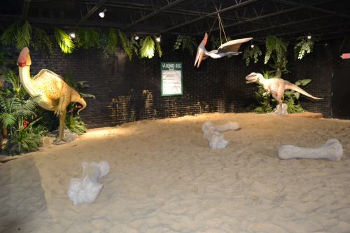 Dinosaur exhibit featuring life-sized models of a T. rex and a pterosaur in a sandy, tropical setting.