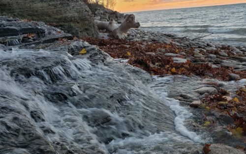 A serene lakeside scene at sunset, featuring flowing water over rocks and autumn leaves scattered along the shore.
