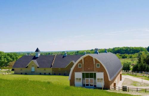 A scenic view of two large barns surrounded by green fields and trees under a clear blue sky.