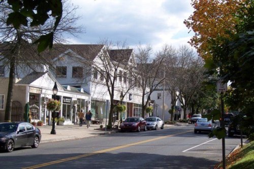 A quaint street lined with shops and trees, featuring parked cars and a cloudy sky.