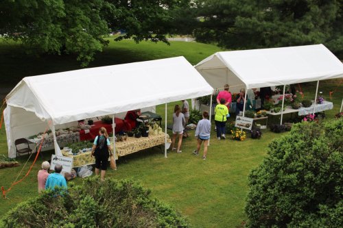 Two white tents at an outdoor market, with people browsing plants and flowers on display. Green trees in the background.