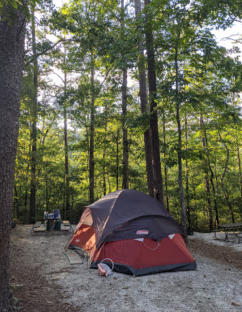 A red and black tent set up in a wooded campsite surrounded by tall trees and a picnic table nearby.