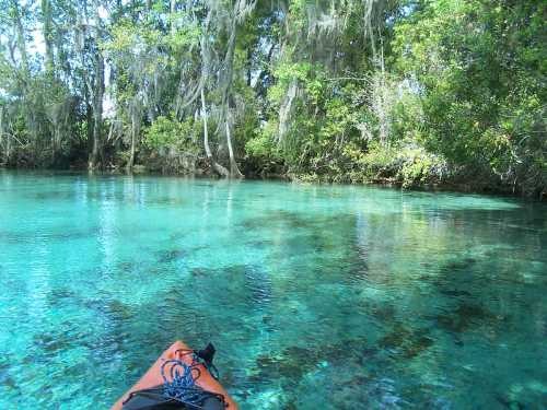 A kayak floats on clear turquoise water surrounded by lush green trees and hanging moss.