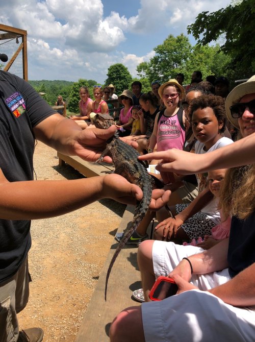 A person holds a lizard while an audience of children and adults watches attentively in an outdoor setting.